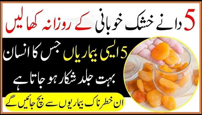 Benefits-of-Dry-Apricots