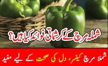 Benefits-of-Capsicum