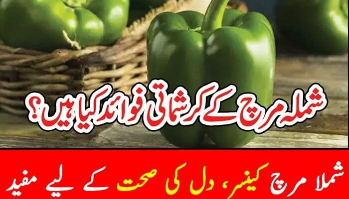 Benefits-of-Capsicum