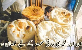 Naan-and-leavened-bread-are-injurious-to-health