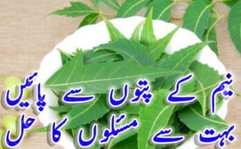 Neem-leaves-can-solve-many-problems