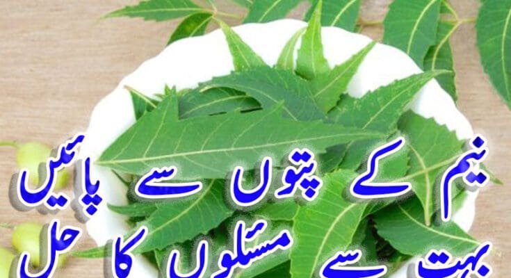 Neem-leaves-can-solve-many-problems